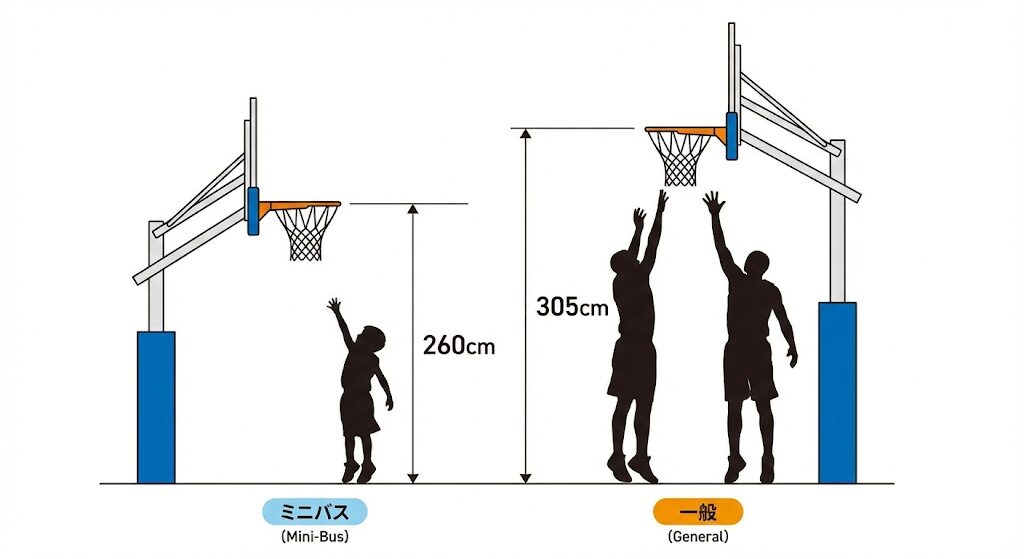 ミニバス260cmと一般305cmのバスケットゴール高さ比較図